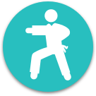 Kung fu icon